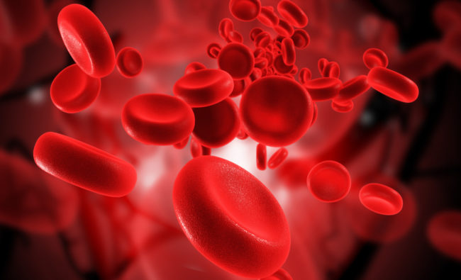 Red Blood Cells