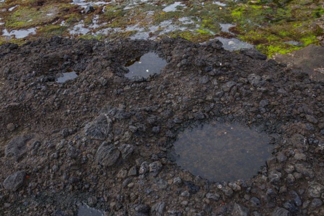 Puddle of water with rocks in it