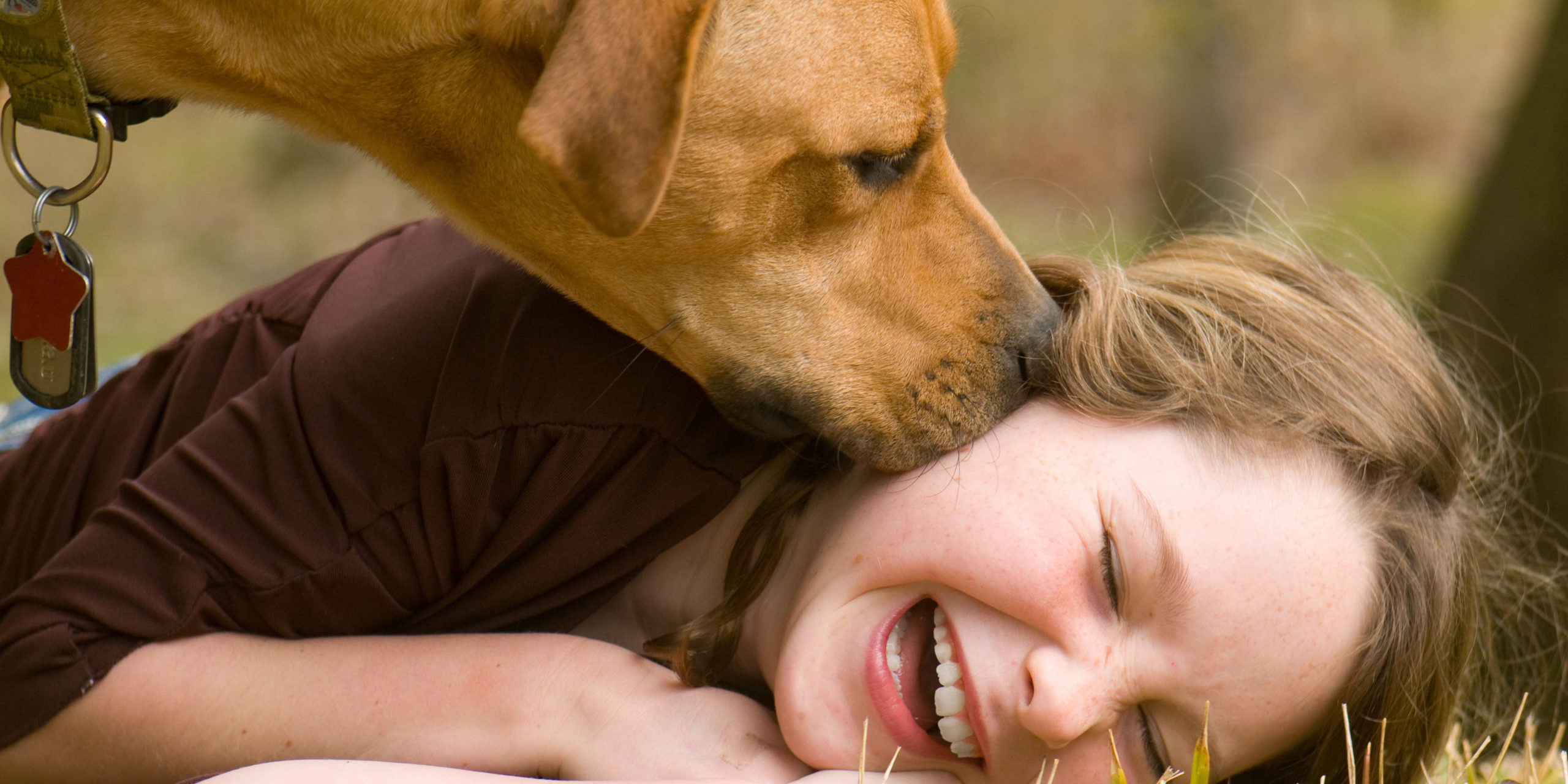 Dog kissing a girl on the cheeks