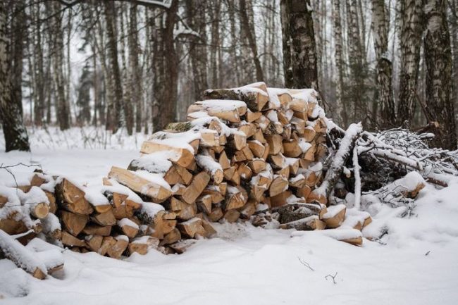 Pile of Wood covered with snow in forest in winter
