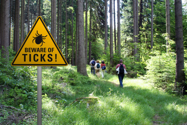 Warning,Sign,”beware,Of,Ticks”,In,Infested,Area,In,The