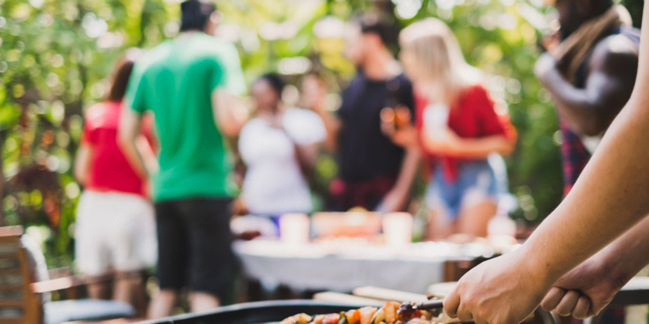 How to Keep Bugs Away From Your Backyard BBQ Activity MosquitoNix Alabama