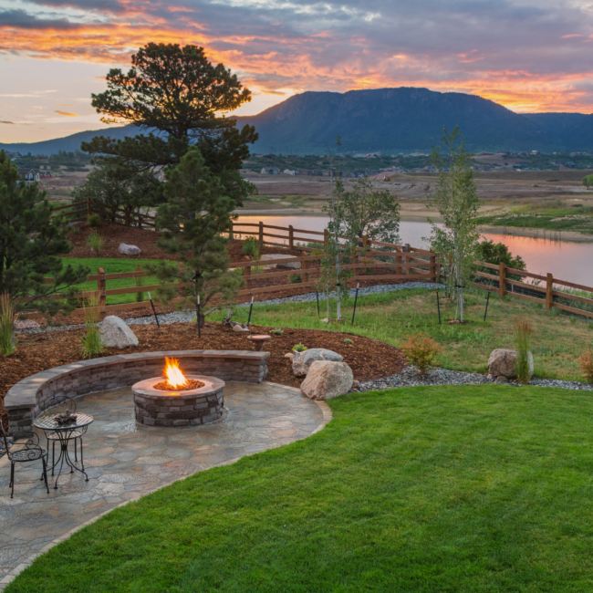 reclaim your backyard